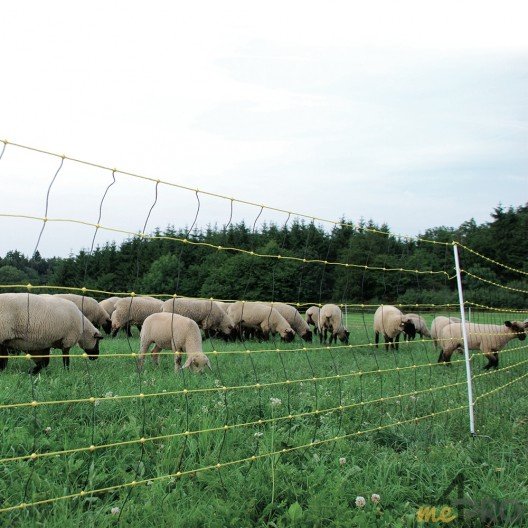 Filet Horinetz avec piquets pour chèvres et moutons - 90cm/50m horizont