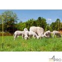 https://www.4mepro.com/18893-medium_default/filet-a-moutons-avec-piquets-en-fibre-de-verre-ovinet-pro.jpg