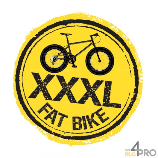 Râtelier pour vélos à pneus larges - 3 vélos