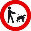 https://www.4mepro.com/26277-medium_default/panneau-interdiction-aux-chiens-meme-tenus-en-laisse-1.jpg