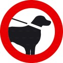 https://www.4mepro.com/26278-medium_default/panneau-interdiction-aux-chiens-meme-tenus-en-laisse-2.jpg