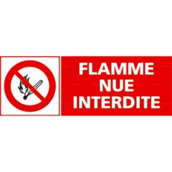 Panneau rectangulaire flamme nue interdite