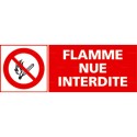 https://www.4mepro.com/26471-medium_default/panneau-flamme-nue-interdite.jpg