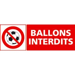 Panneau rectangulaire ballons interdits