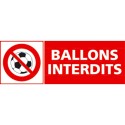 https://www.4mepro.com/26526-medium_default/panneau-ballons-interdits.jpg