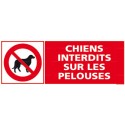 https://www.4mepro.com/26571-medium_default/panneau-chiens-interdits-sur-les-pelouses.jpg