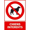 https://www.4mepro.com/26600-medium_default/panneau-vertical-chiens-interdits.jpg