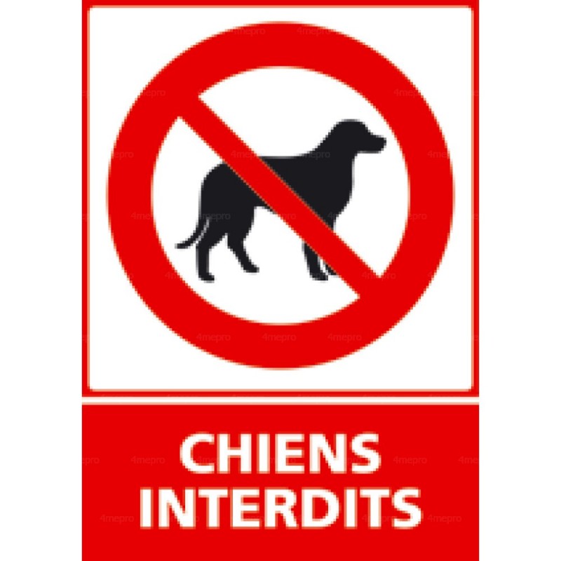 Panneau chiens interdits avec pictogramme