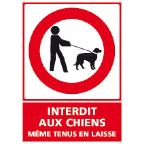 Panneau vertical interdit aux chiens même tenus en laisse