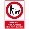 https://www.4mepro.com/26603-medium_default/panneau-vertical-interdit-aux-chiens-meme-tenus-en-laisse.jpg