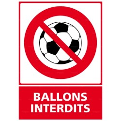 Panneau vertical Ballons interdits