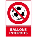 https://www.4mepro.com/26641-medium_default/panneau-vertical-ballons-interdits.jpg