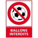 https://www.4mepro.com/26641-medium_default/panneau-vertical-ballons-interdits.jpg