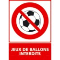 https://www.4mepro.com/26643-medium_default/panneau-vertical-jeux-de-ballons-interdits.jpg