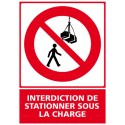 https://www.4mepro.com/26651-medium_default/panneau-vertical-interdiction-de-stationner-sous-la-charge.jpg