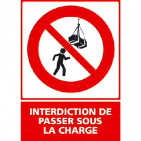 Panneau vertical Interdiction de passer sous la charge