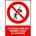 https://www.4mepro.com/26652-medium_default/panneau-vertical-interdiction-de-passer-sous-la-charge.jpg