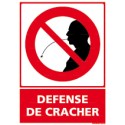 https://www.4mepro.com/26930-medium_default/panneau-rectangulaire-defense-de-cracher.jpg