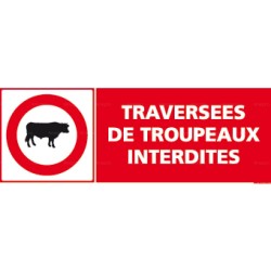 Panneau rectangulaire Traversées de troupeaux interdites