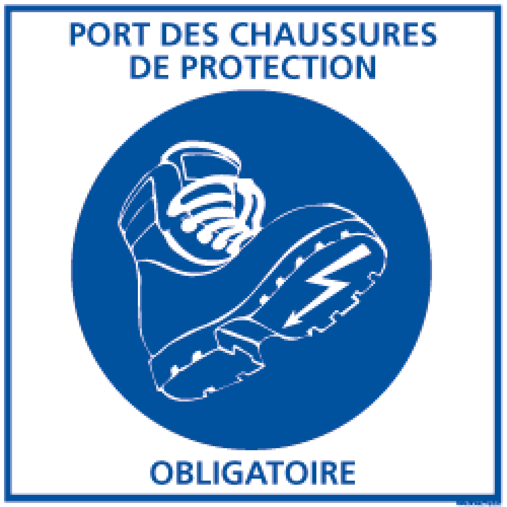 chaussure de securite charpentier