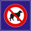 https://www.4mepro.com/27487-medium_default/panneau-carre-chien-interdit.jpg