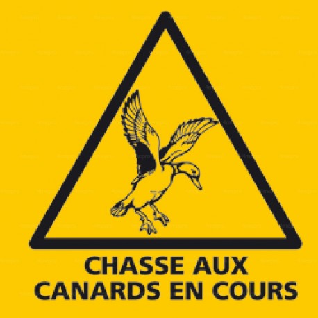 Panneau carré Chasse aux canards en cours