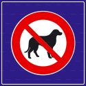 https://www.4mepro.com/27798-medium_default/panneau-carre-chien-interdit.jpg