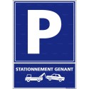 https://www.4mepro.com/28215-medium_default/panneau-rectangulaire-vertical-stationnement-genant.jpg