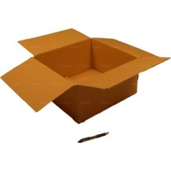 Carton simple cannelure 40x40x20 cm