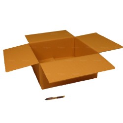 Carton double cannelure 45x45x20 cm