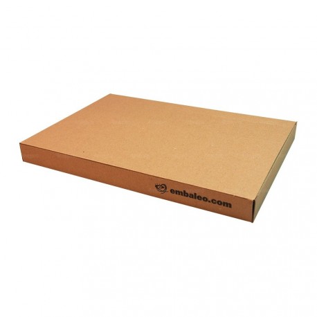 Boite carton 21,5 x 32,5 x 3 cm