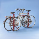 Range 2 vélos Carthagène barrière