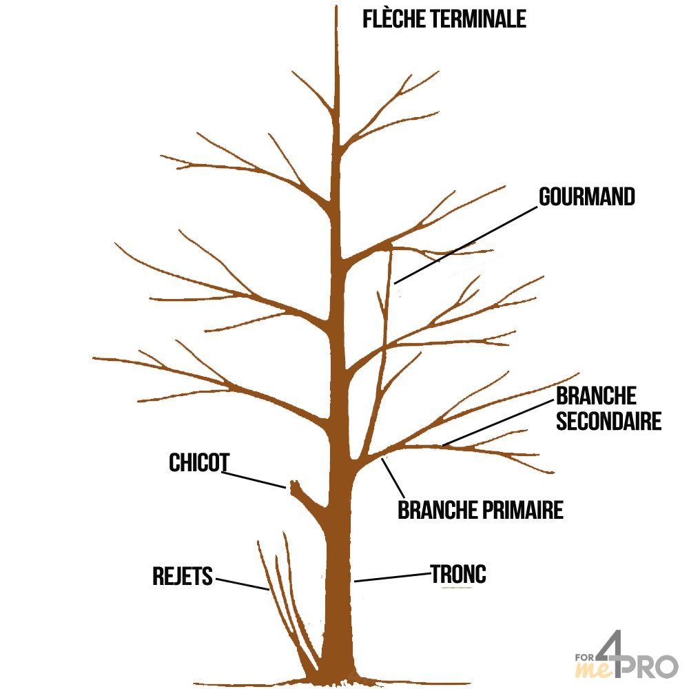 Les différentes techniques de coupe 4mepro Les différentes techniques de coupe 4mepro